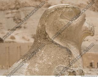 Photo Texture of Hatshepsut 0207